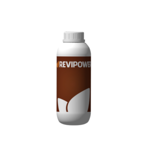 Revipower