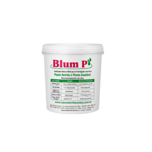 Blum-P